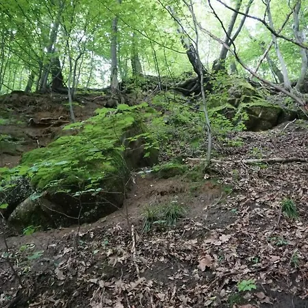Barwald Vila