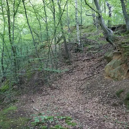Barwald